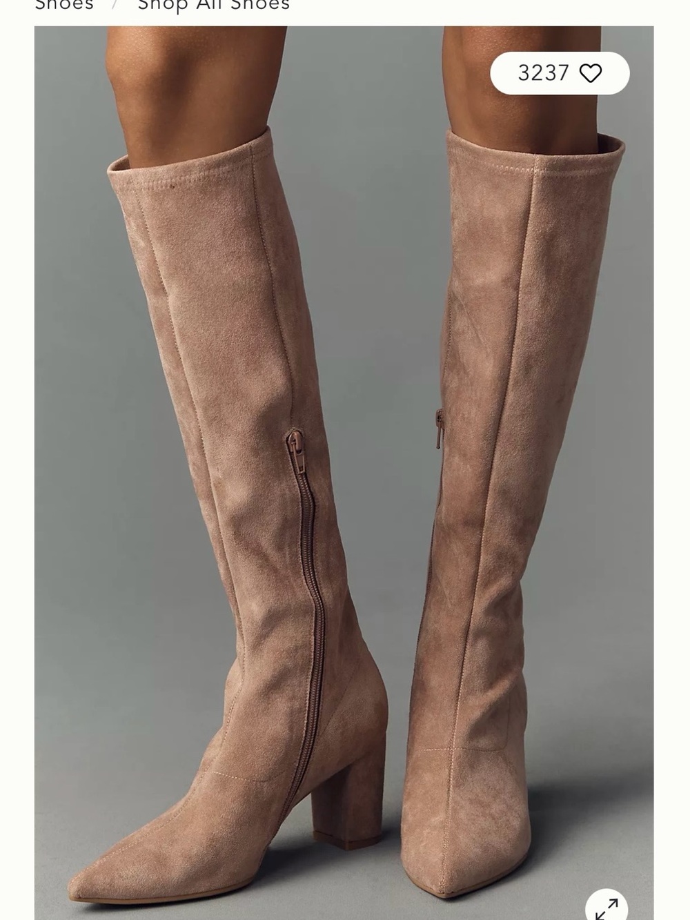 Silent D Suede Over-the-Knee Pointed Toe Boots in Taupe
